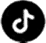 TikTok icon